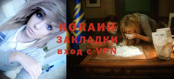 ГАЛЛЮЦИНОГЕННЫЕ ГРИБЫ Каменка