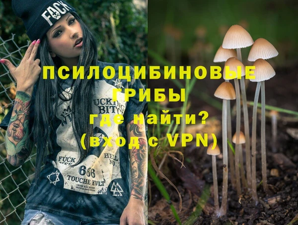 ГАЛЛЮЦИНОГЕННЫЕ ГРИБЫ Каменка