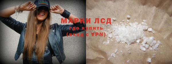ГАЛЛЮЦИНОГЕННЫЕ ГРИБЫ Каменка