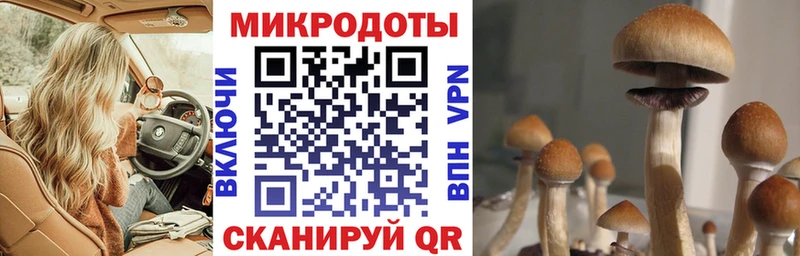 Галлюциногенные грибы Magic Shrooms  Краснозаводск 